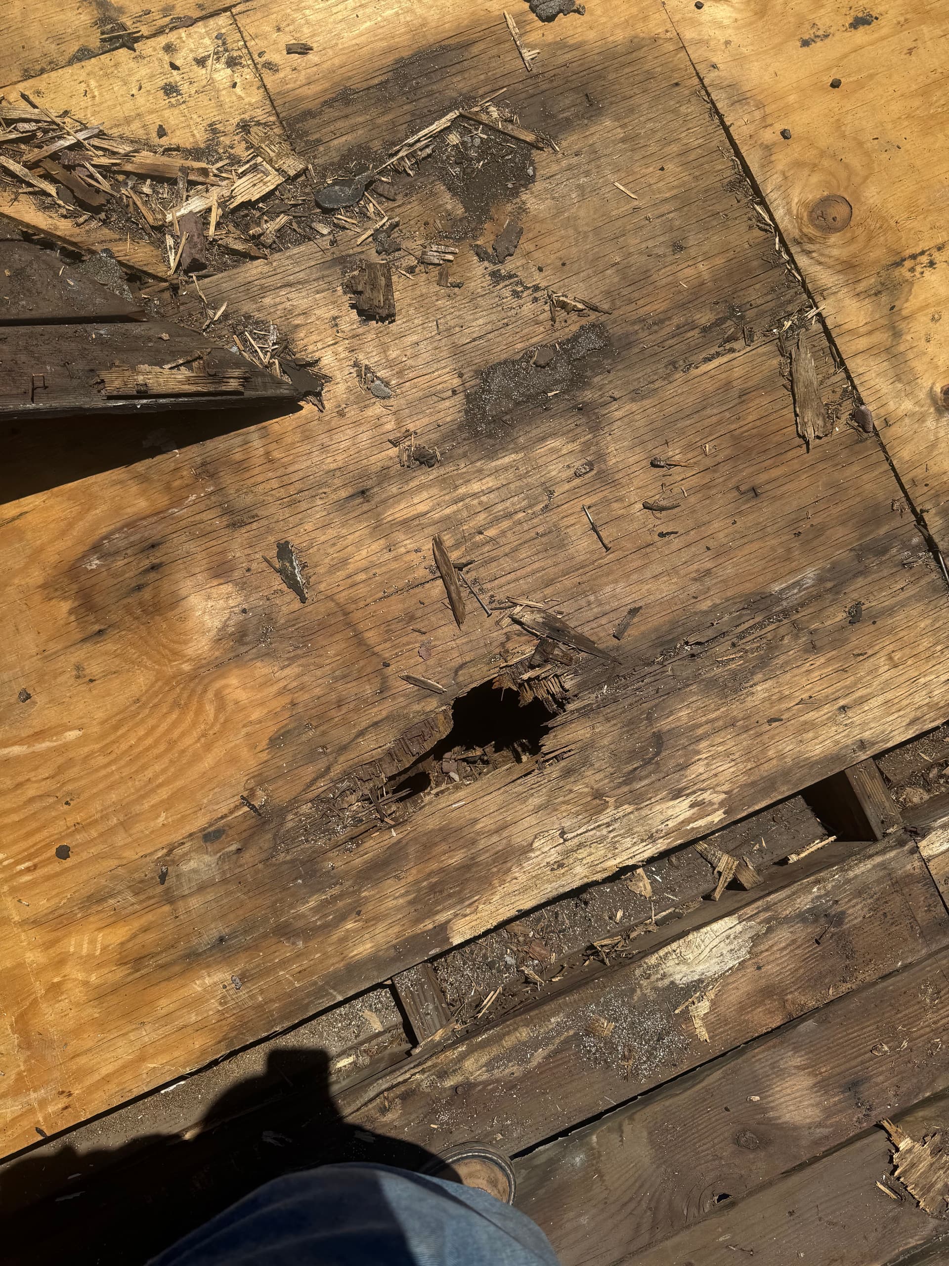 Gallery photos for 60-Square Tile to Shingle Conversion With Heavy Wood Repair: Image #3