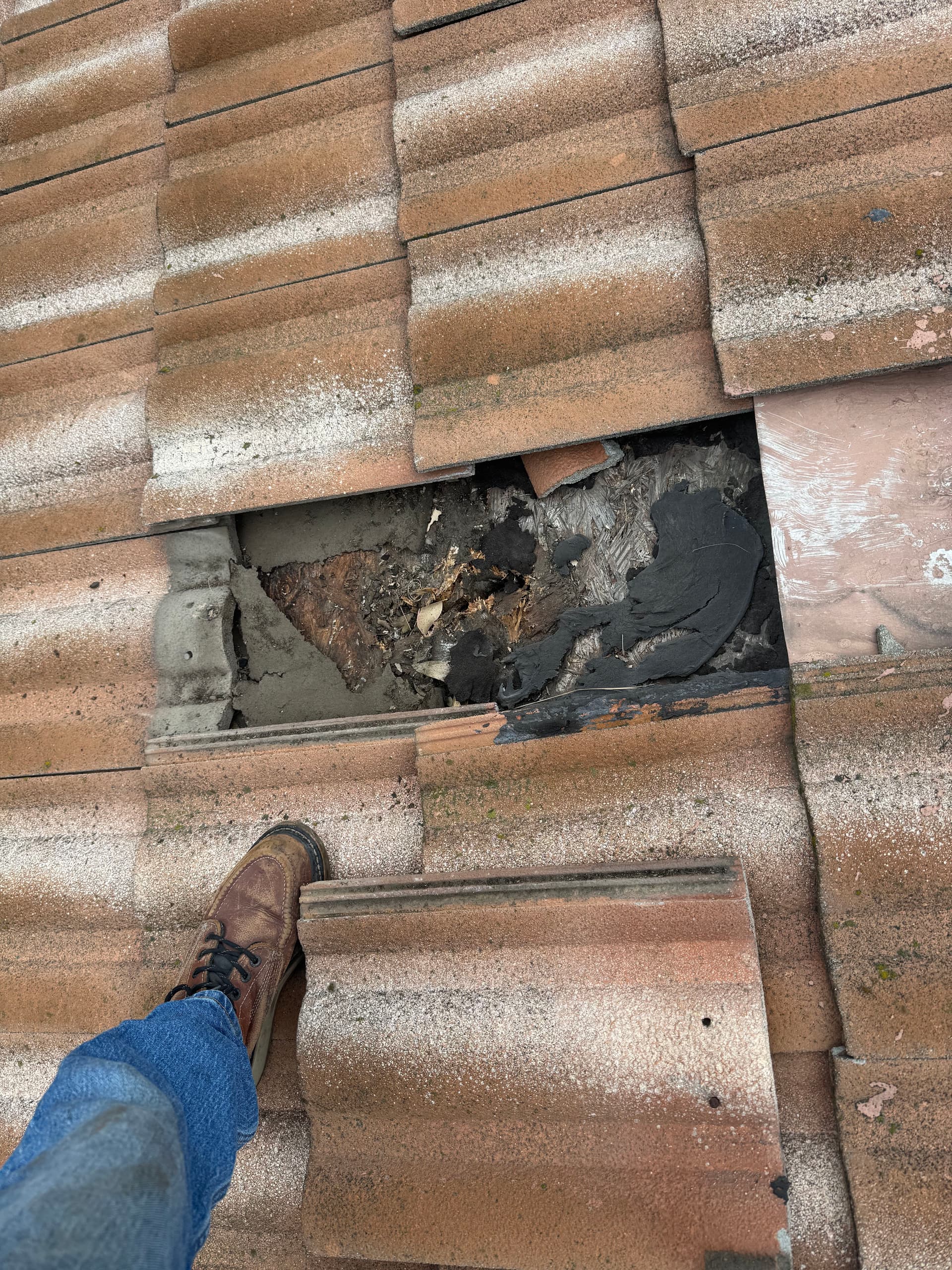 Cracked Roof Tile Repair Gone Deep - Here's What We Found image
